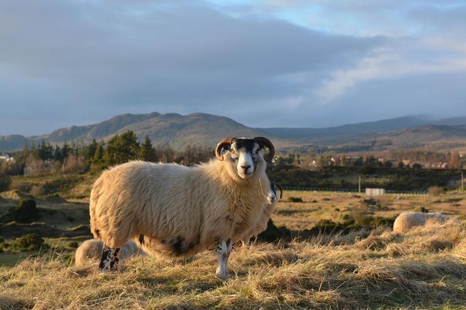 1 Day Castles, West Highlands and Loch Lomond Tour from Edinburgh - Doune Castle, Outlander, and medieval Scotland