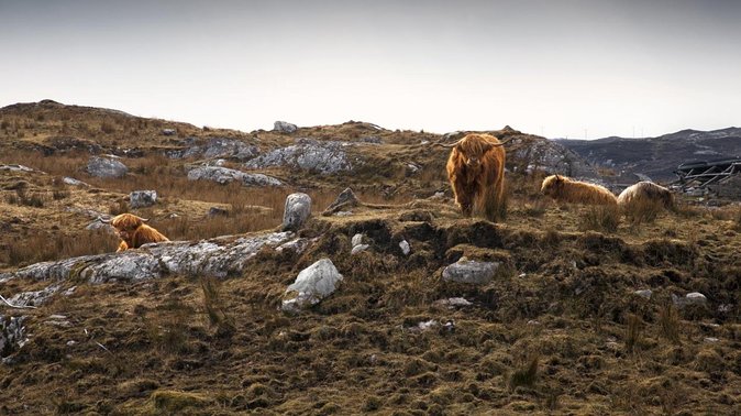 3-Day Hebrides Tour from Inverness: Isles of Lewis and Harris - Key things to know before booking