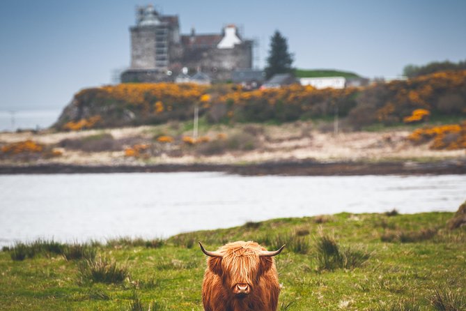 3-Day Isle of Mull and Iona Small-Group Tour from Glasgow - What the $755.74 Price Really Covers