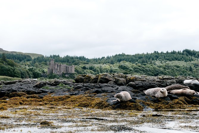 3-Day Isle of Skye, 'Hogwarts Express' Train and Highlands Tour - What the coach ride is really like