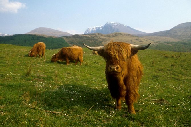 3-Day Isle of Skye, 'Hogwarts Express' Train and Highlands Tour - Is $926.56 a fair price?