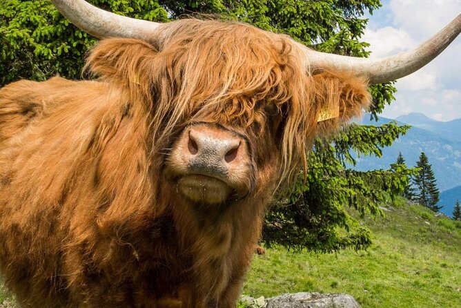 3 Day - Isle of Skye, Loch Ness & Glenfinnan Tour from Edinburgh - Why this route works for a short Scotland visit
