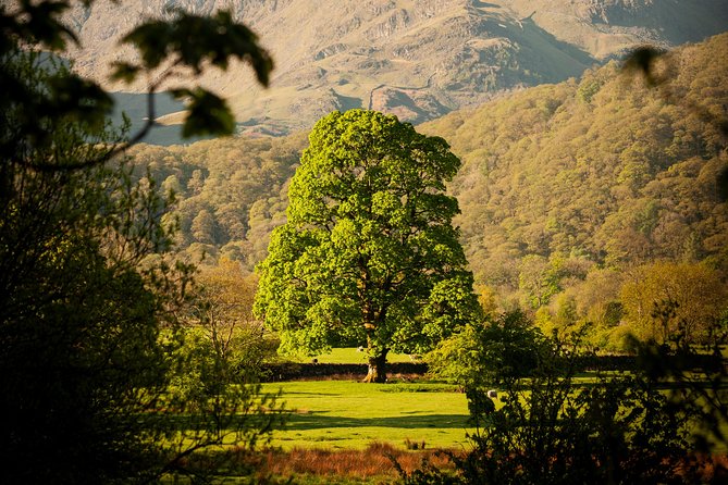 3-Day Lake District Explorer Small-Group Tour from Edinburgh - How much walking and free time should you expect?
