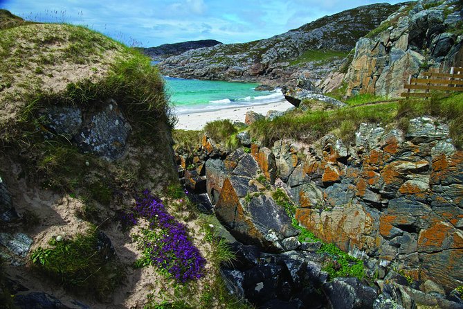 5-Day Highland Explorer and Isle of Skye Small-Group Tour from Edinburgh - Day three: Applecross, Bealach na Ba, and palm trees in Plockton