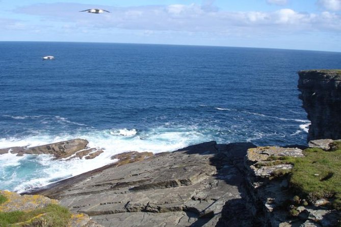 5-Day Orkney & Northern Coast Tour from Edinburgh Incl Admissions - Choosing between a hotel and B&B