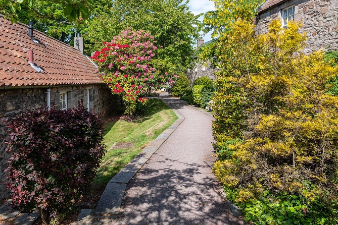 Aberdeen Historical Walking Tour - Is $75.69 a fair price?