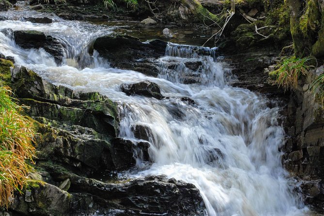 Alternative Loch Ness Tour by Secret Highlands - Beauly Priory and a gentler final stop