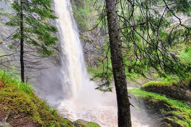 Alternative Loch Ness Tour by Secret Highlands - What $376.86 per person really buys you