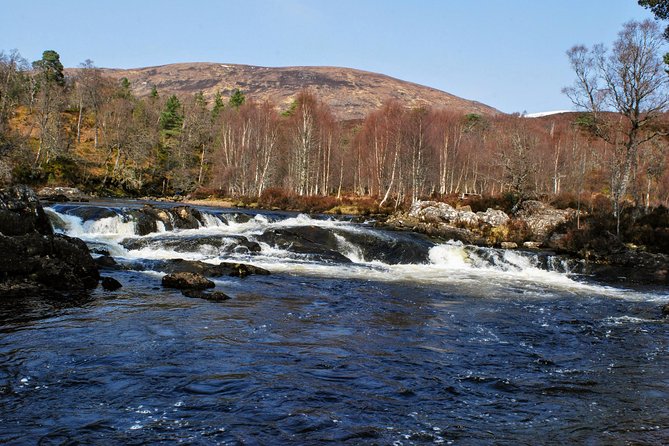Alternative Loch Ness Tour by Secret Highlands - Glen Affric: the heart of the day