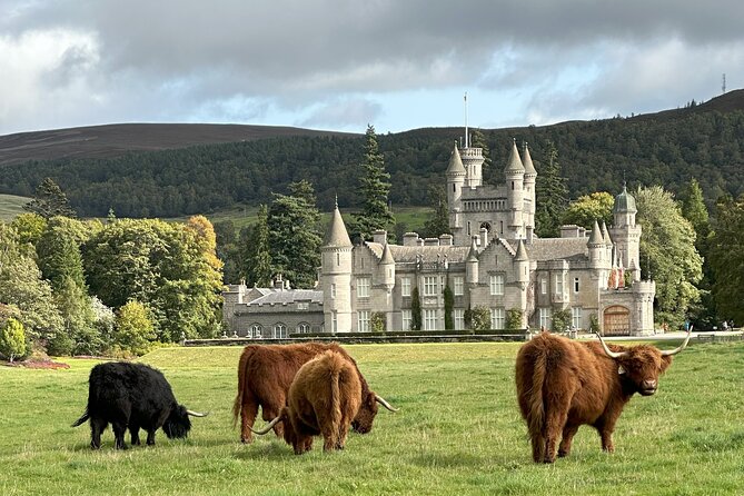 Balmoral & Royal Deeside Tour - Price, timing, and what to bring