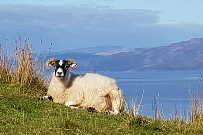Bespoke Private Tours of Scotland and the Borders - Stirling Castle and choosing your own priorities
