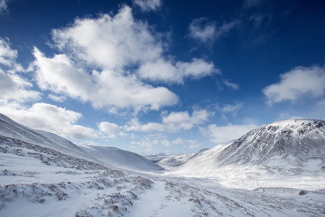 Cairngorms & Whisky Day Tour from Inverness Including Admission - Who will enjoy this day most