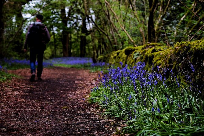 Central Scotland Driving Tour - Stirlingshire (Private) - The Duke’s Pass is the day’s scenic drive