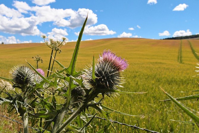 Cycle To Loch Ness - Self Guided - Following Route 78 toward Loch Ness