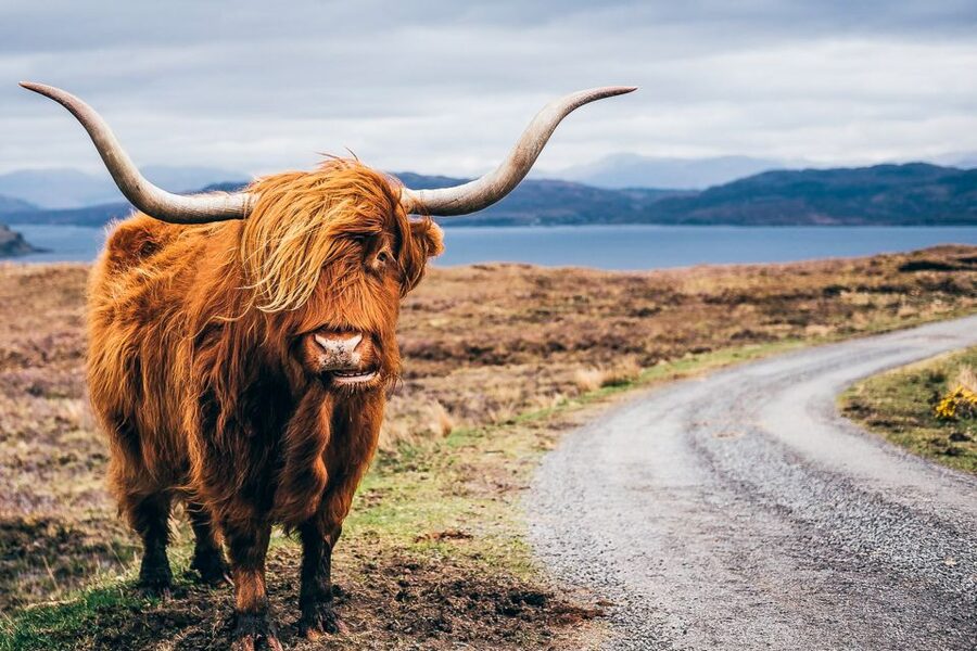 Edinburgh: 3-Day Isle of Skye, Highlands, and Loch Ness Tour - Fort William beneath Ben Nevis