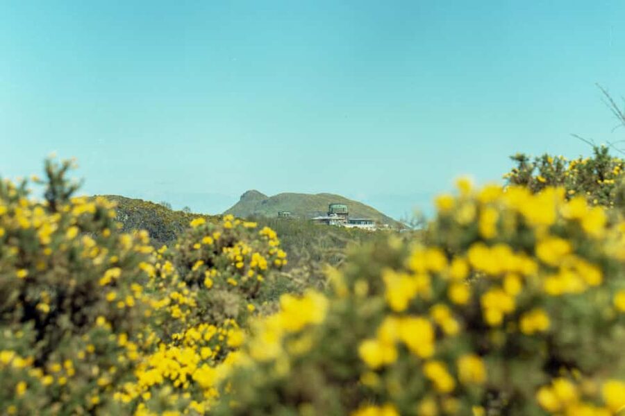 Edinburgh: Arthur's Seat Hike with Mountain Guide - What the Mountain Guide Adds