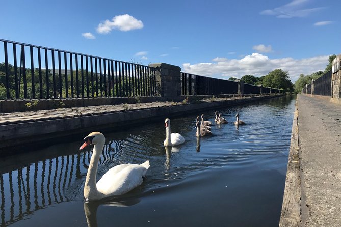 Edinburgh City Bike Tour - Choice of E-Bike or Manual - Water of Leith and the old railway paths