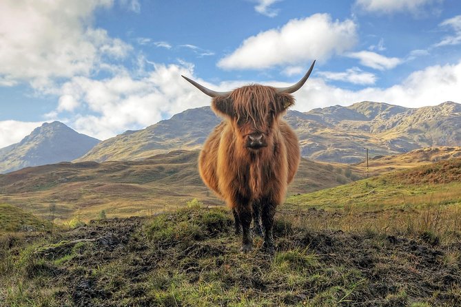 Edinburgh: Eilean Donan, Loch Ness & Glenfinnan 2-Day Tour - Why two days works better than one