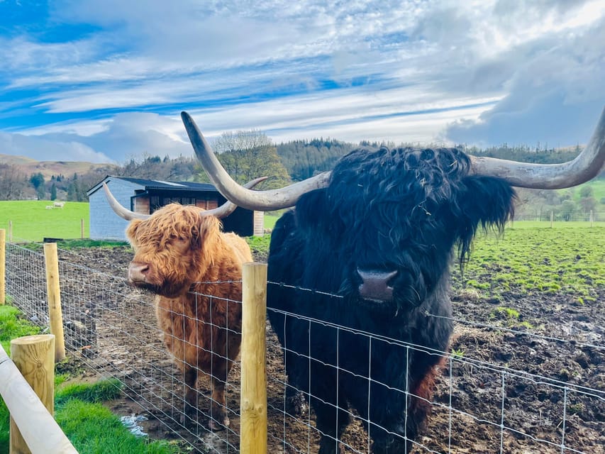 Edinburgh: Glenfinnan Viaduct, Glencoe & Fort William - Comfort, weather, and the realities of the bus
