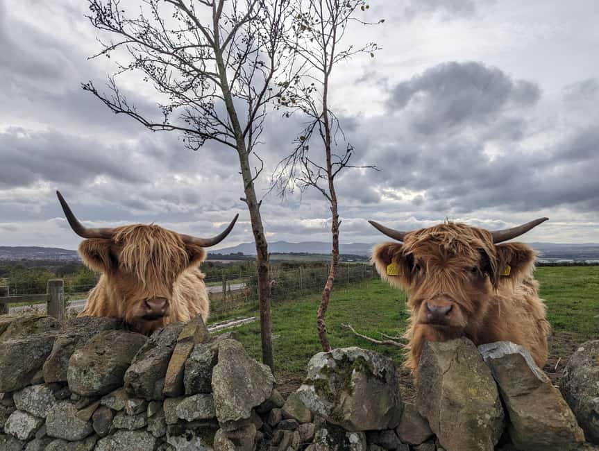 Edinburgh: Harry Potter, Glenfinnan Viaduct & Highland Tour - Key points to know before booking
