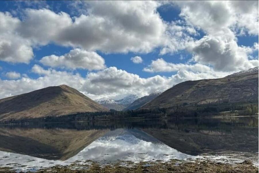 Edinburgh: Harry Potter, Glenfinnan Viaduct & Highland Tour - Hand-feeding the Highland coos finishes the day