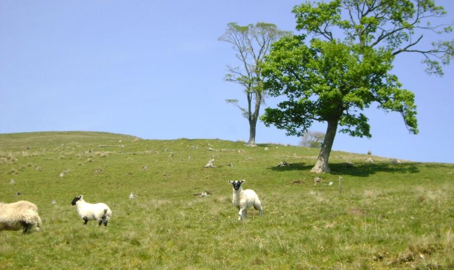 Edinburgh: Hill & Nature Hike With a Local - Who will enjoy this walk most