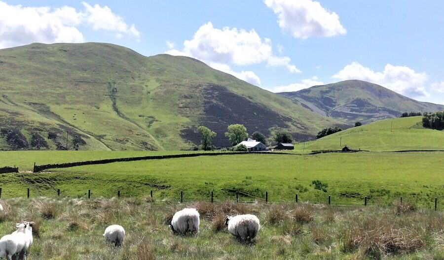 Edinburgh: Hill & Nature Hike With a Local - Geology and Celtic history on the trail