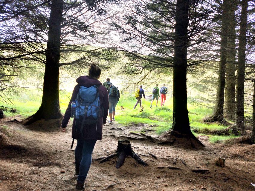 Edinburgh: Hill & Nature Hike With a Local - The guide’s role and group pace