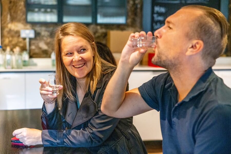 Edinburgh: Holyrood Distillery Whisky & Gin Tour - English-only, but accessible for beginners