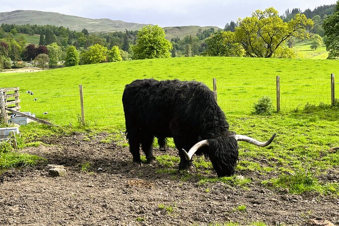 Edinburgh: Loch Ness, Glencoe & The Highlands - Glencoe connects beauty with painful history