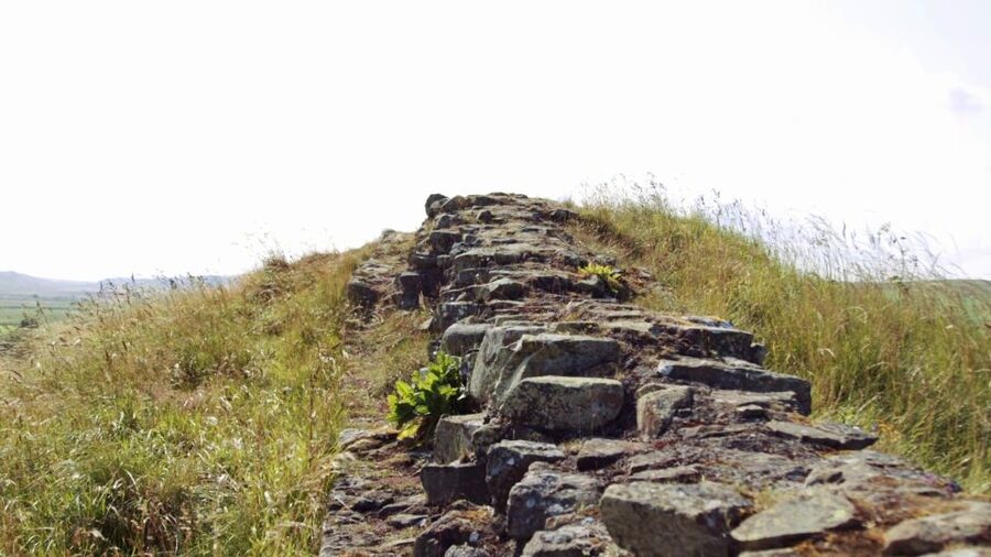 Edinburgh: Rosslyn Chapel and Hadrian's Wall Tour in Spanish - Is $70.04 good value for an 11-hour outing?