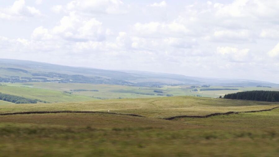 Edinburgh: Rosslyn Chapel and Hadrian's Wall Tour in Spanish - The pace, walking, and practical limits
