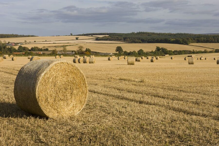 Edinburgh: Rosslyn Chapel, Borders & Glenkinchie Distillery - A scenic ride through southern Scotland