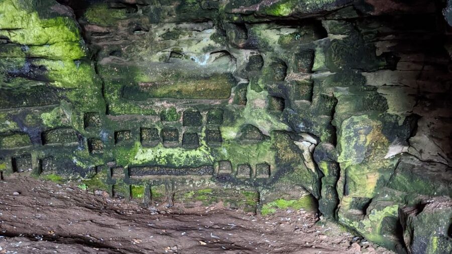 Edinburgh: St Andrews, Dunfermline Abbey and Fife Coast Tour - Who should book this St Andrews tour?