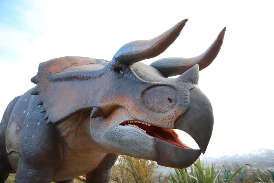 Edinburgh Zoo Entrance Ticket - Is the $36 admission good value?