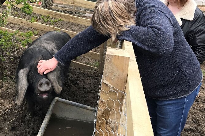 Errichel Farm Tour - Meeting Becky at Thyme Delicatessen