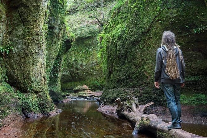 Find a hidden Glen in Scotland's woods - Leaving from 19 Killermont Street