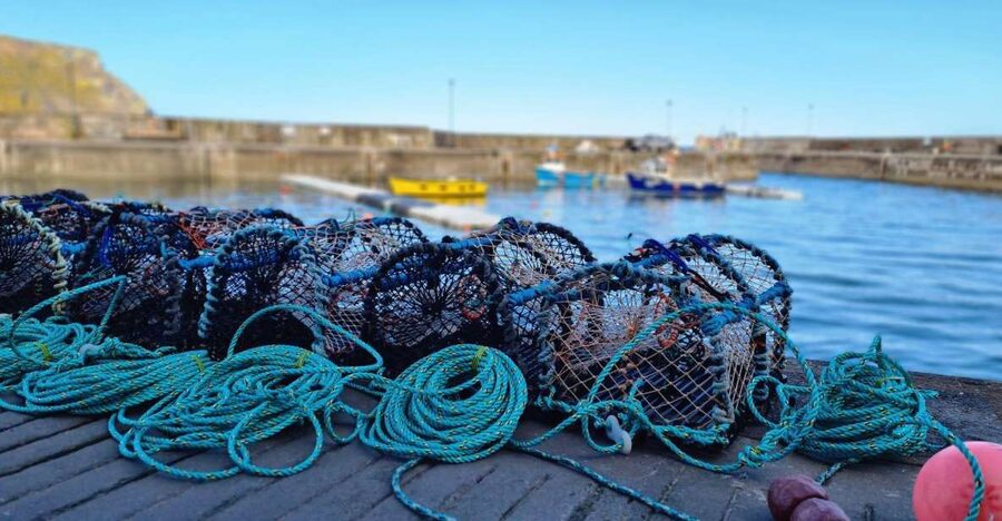 From Aberdeen: Coastal Villages of Aberdeenshire Tour - Pennan, the small village with a film-famous phone box