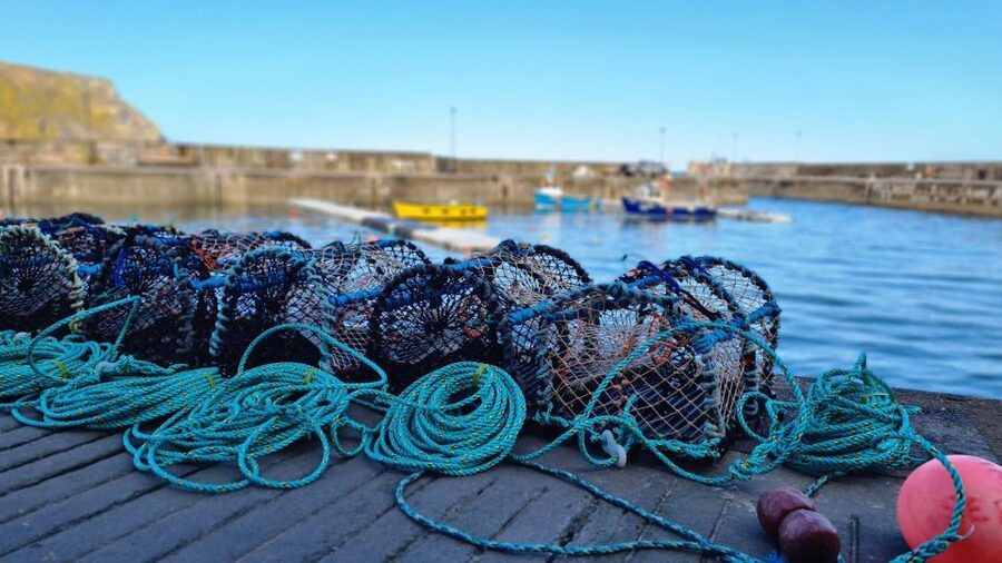 From Aberdeen: Coastal Villages of Aberdeenshire Tour - Cruden Bay, castles, and open coastal views