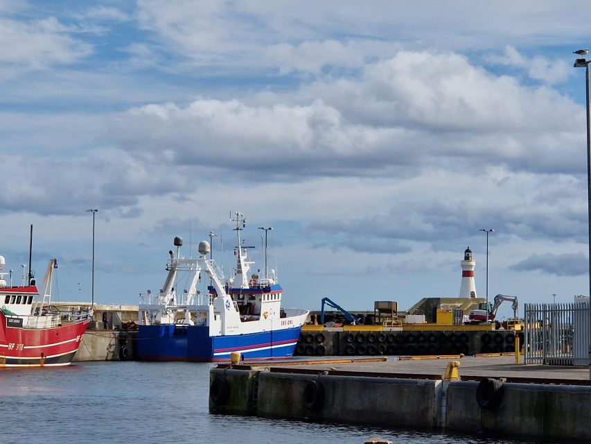 From Aberdeen: Coastal Villages of Aberdeenshire Tour - Newburgh Seal Beach and the wildlife question