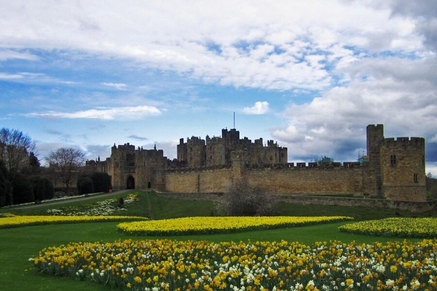 From Edinburg: Viking Coast & Alnwick Castle Day Tour - Should you book the Viking Coast and Alnwick Castle tour?