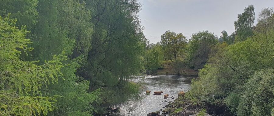 From Edinburgh: a Private Tour to a Majestic Highland Glen - Key points to know before booking