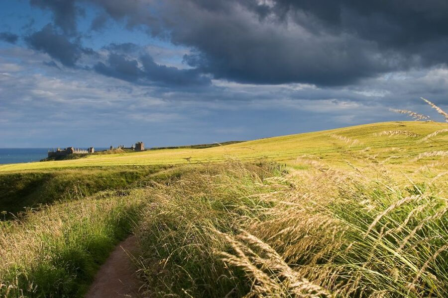 From Edinburgh: Glamis and Dunnottar Castles Tour in Italian - Glamis Castle brings legends, gardens, and royal connections