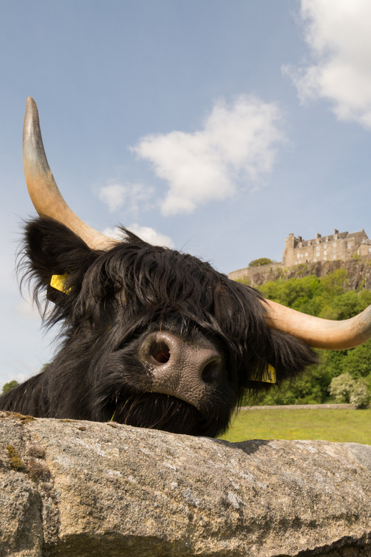 From Edinburgh: Loch Lomond, Stirling Castle & Kelpies Tour - Leaving Edinburgh for the Kelpies