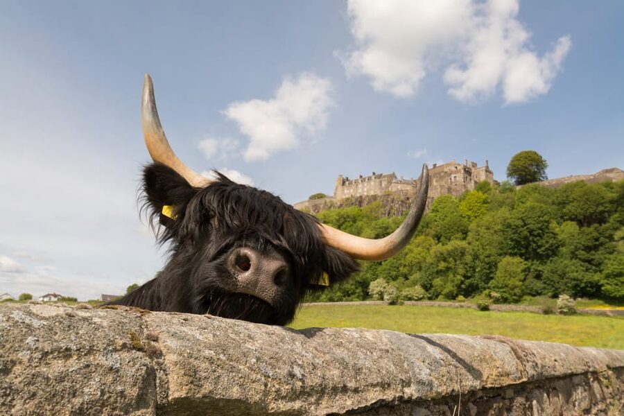 From Edinburgh: Loch Lomond, Stirling Castle & Kelpies Tour - Callander and Doune Castle add context from the bus