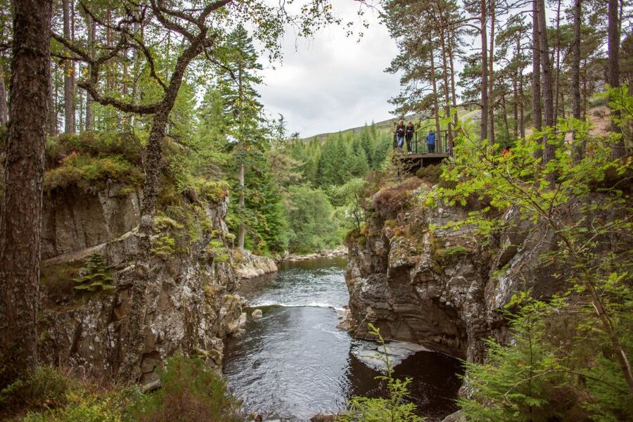 From Edinburgh: Loch Ness and Scottish Highlands Day Tour - Lunch, then the long run to Loch Ness