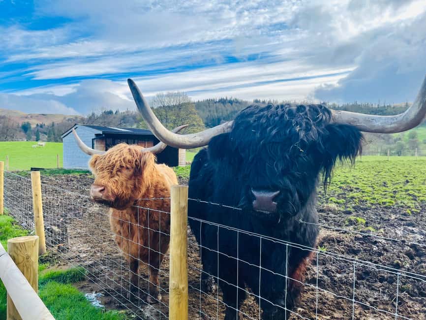 From Edinburgh: Loch Ness, Glencoe & The Highlands Day Trip - Key points to know before you book