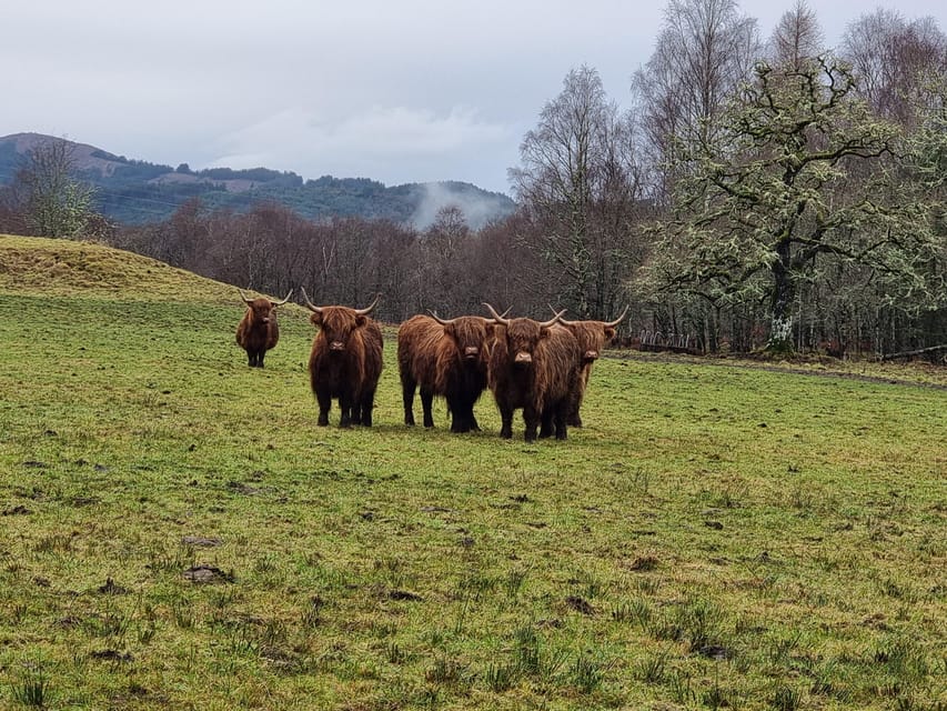 From Edinburgh: Loch Ness Private Day Tour with Transfers - An early look at Stirling and the road north