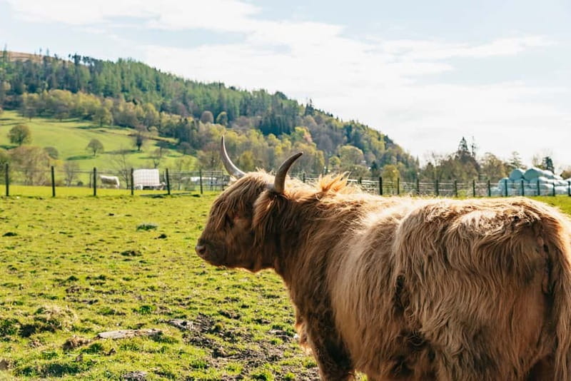 From Edinburgh: Loch Ness & Scottish Highlands Tour - Fort William and the view of Ben Nevis