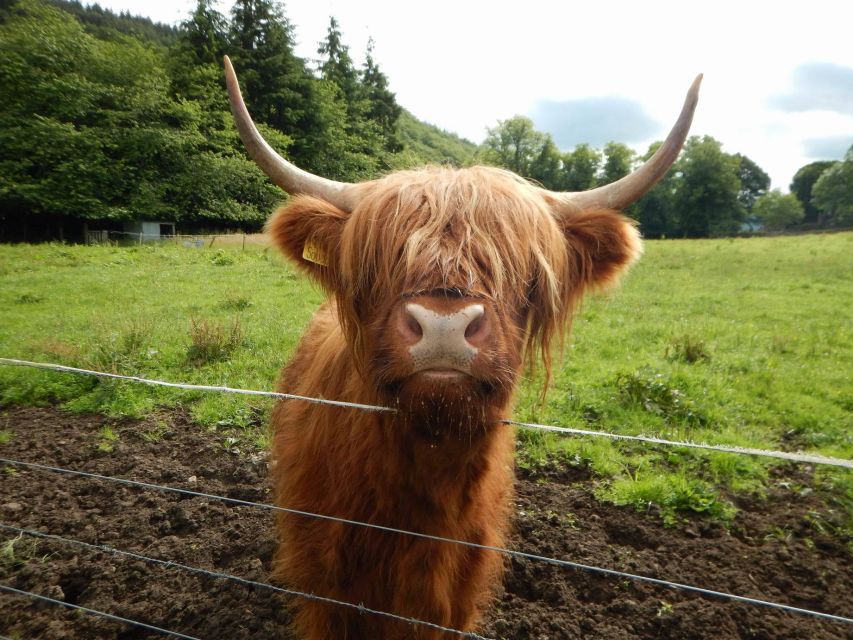 From Edinburgh: Orkney, Skye and the Far North 8 Day Tour - Day 3: A full day among Skye’s mountains and coast